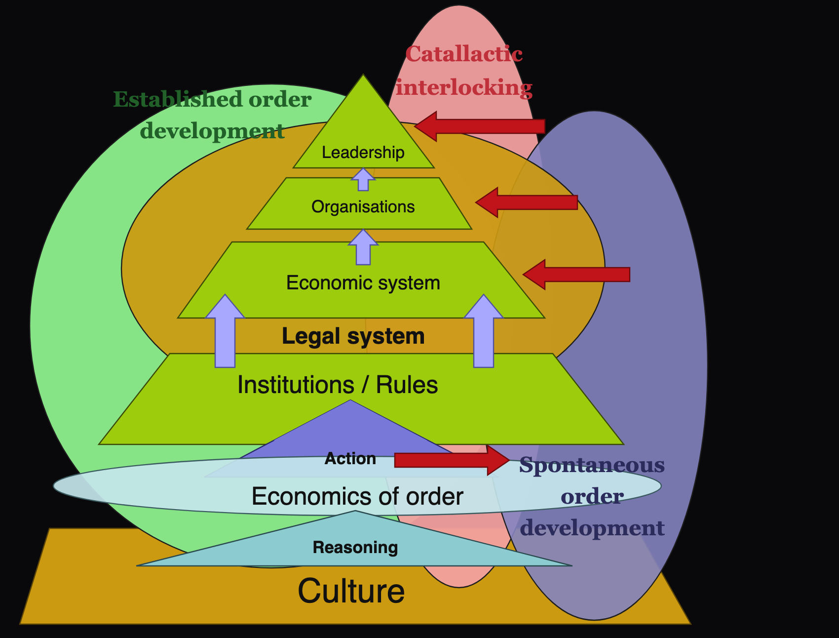 Diagram after Carey: a stepped pyramid rising from culture and reasoning through action, the economics of order, institutions and rules, the legal system, the economic system and organisations to leadership, with established order on one side, spontaneous order on the other, and catallactic interlocking between them